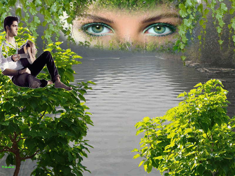 Глаза природы. Взгляд зеленых глаз. Зеленые глаза в природе.